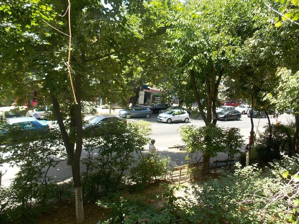 Studio Lujerului Bucuresti Romania